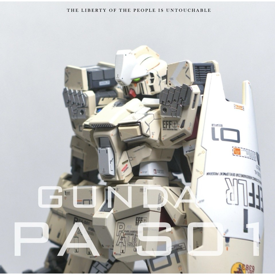 PA-S01 CUSTOM BUILD GUNPLA 1/100 MG