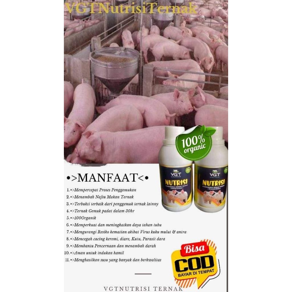 Vitamin Gemuk Ternak Babi