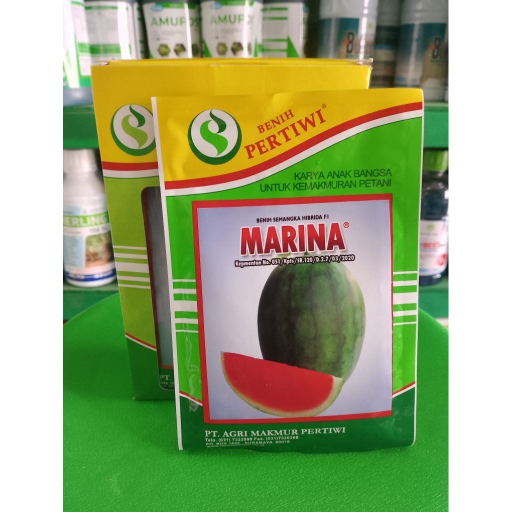 Benih Semangka MARINA F1 Kemasan 20gr