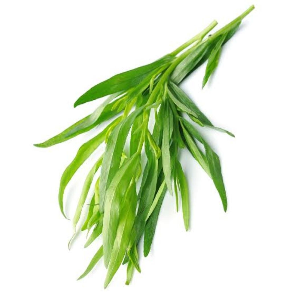 

DAUN TARAGON FRESH 50GR