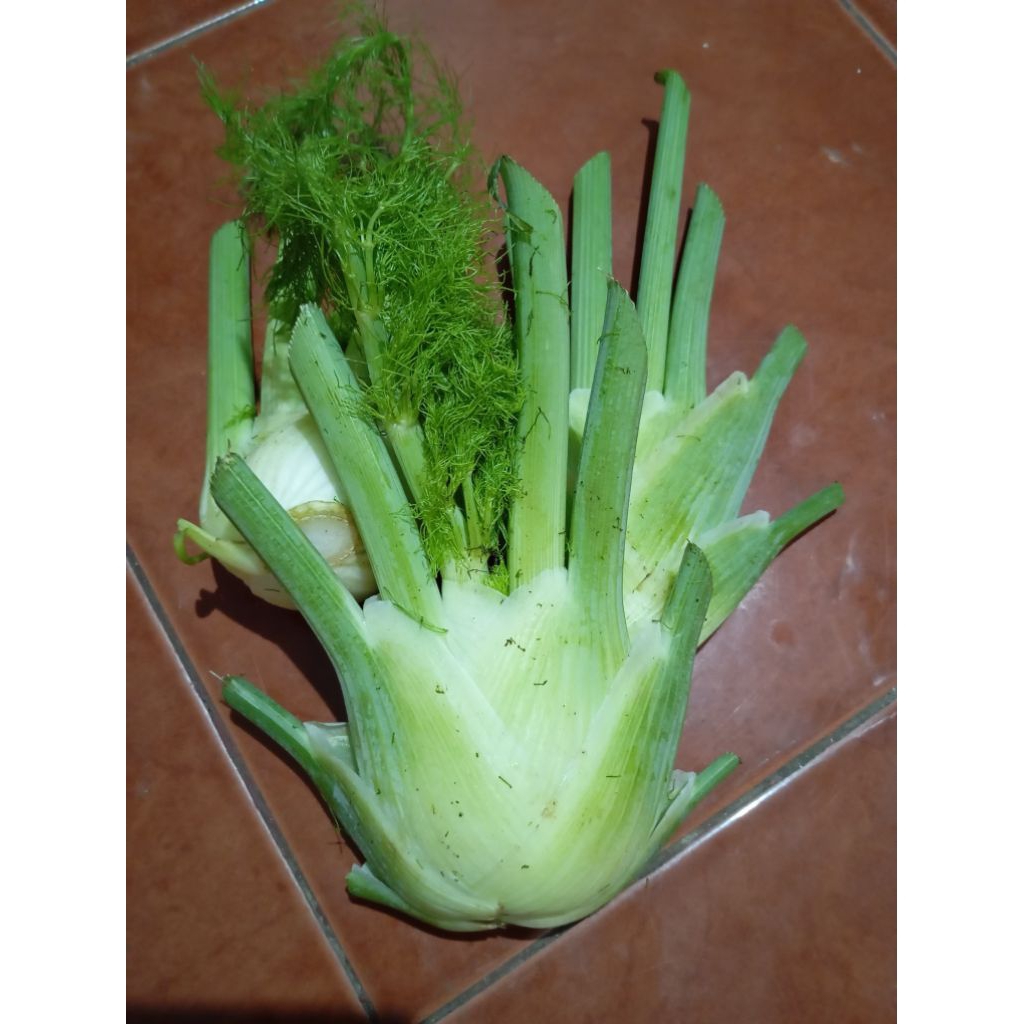 

Fennel 500Gr