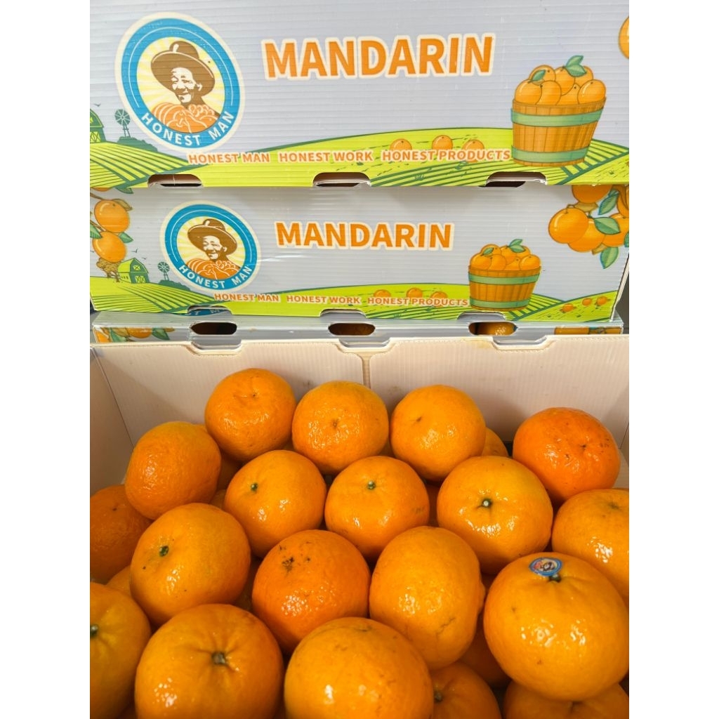 

Jeruk Wogan Honestman Size XXL