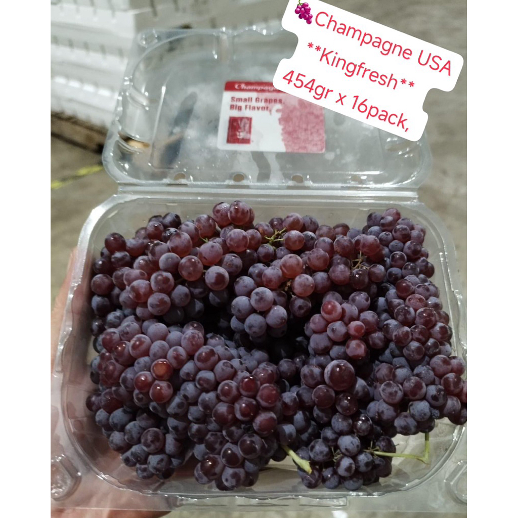 

Anggur Champagne USA 1 Dus (16 Pack) Fresh Import