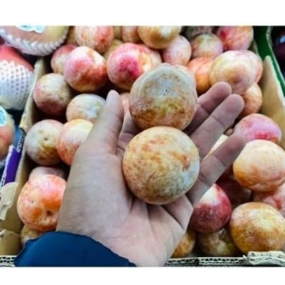 

plum pluot dapple Dandy usa super plum 500gram