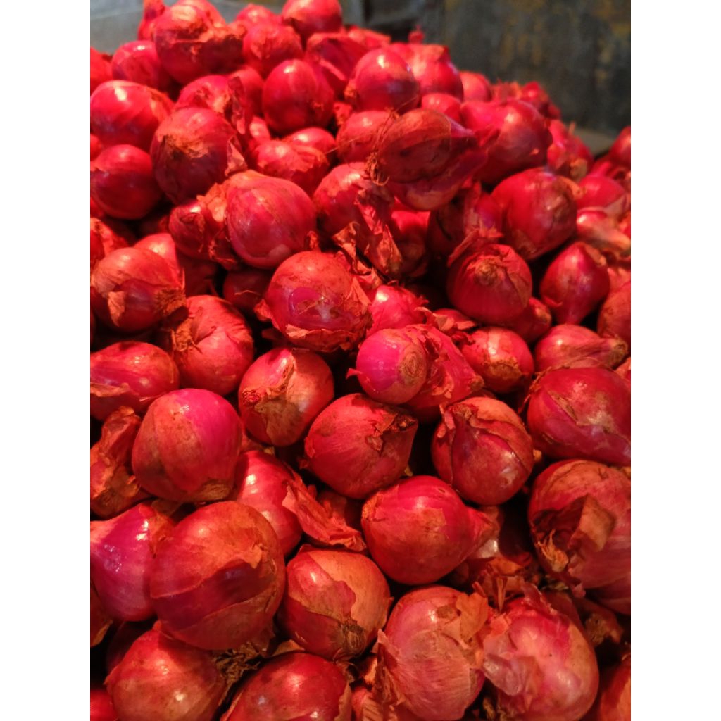 

bawang merah super besar 1kg