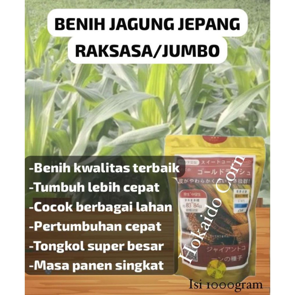 Benih Jagung Jepang Raksasa