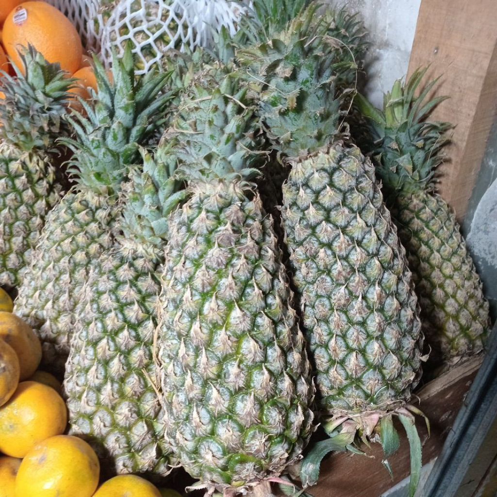 

Nanas Palembang 1 buah