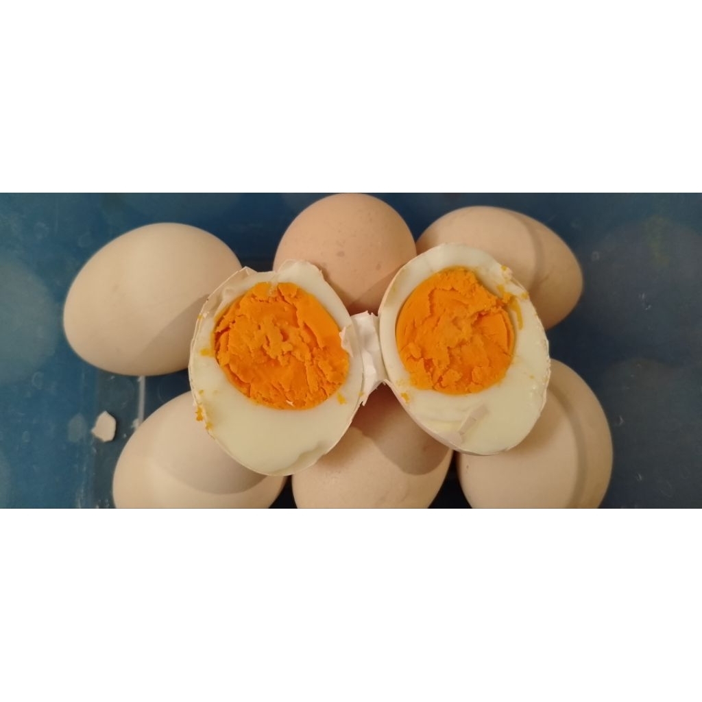 

Telor ayam kampung omega mentah 30 pcs