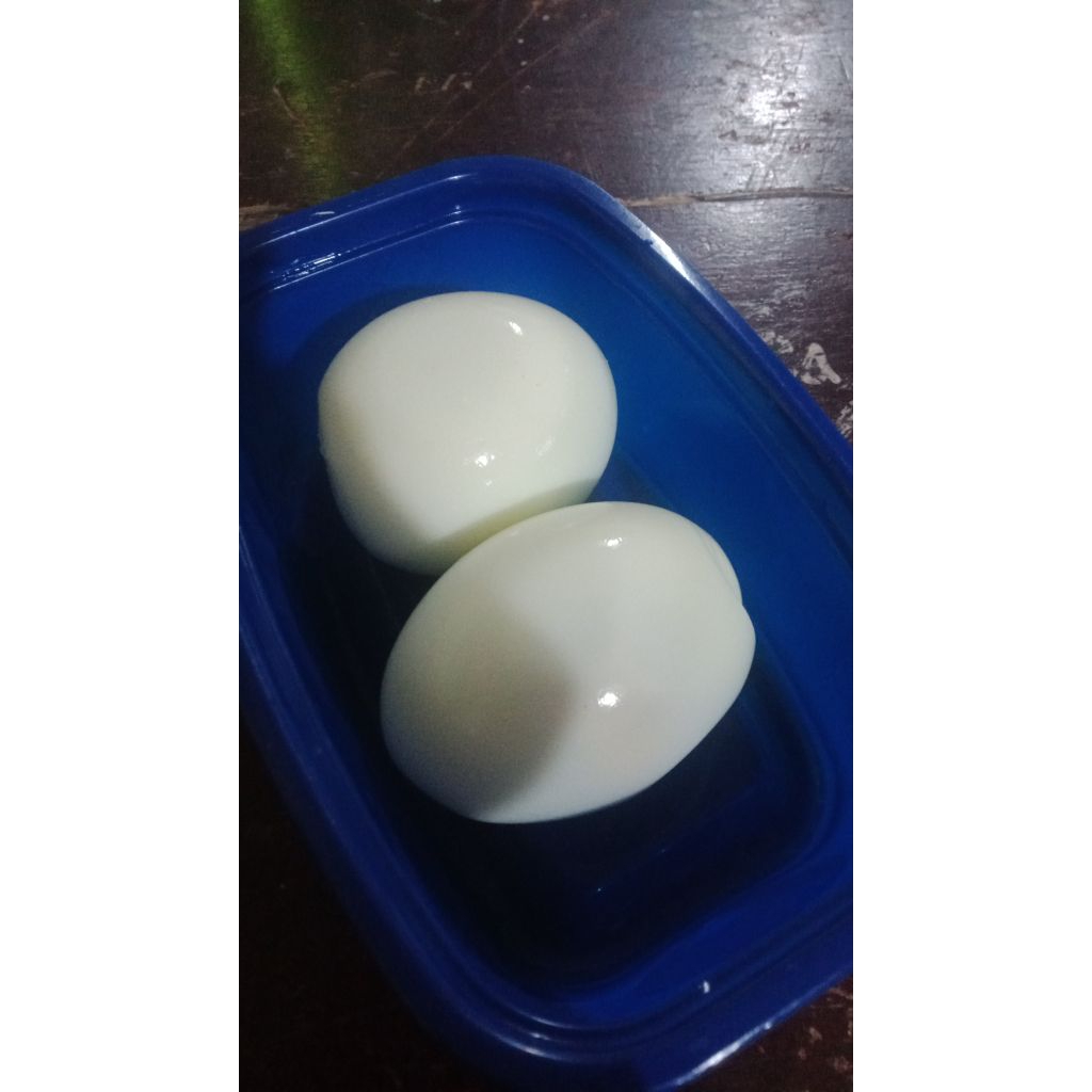 

TELUR REBUS