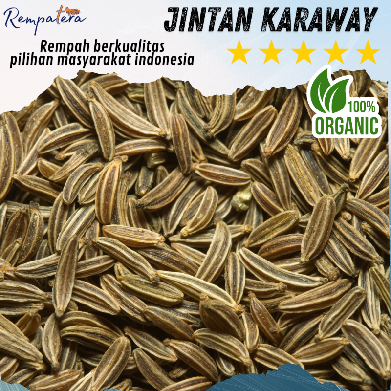 

REMPATERA - Jintan Karaway Asli Rempah Premium Kualitas Ekspor | Caraway Seed Murni untuk Masakan, Roti, Kari, Herbal, dan Obat Tradisional | Biji Jintan Kering Alami Non MSG – Aroma Kuat & Rasa Khas