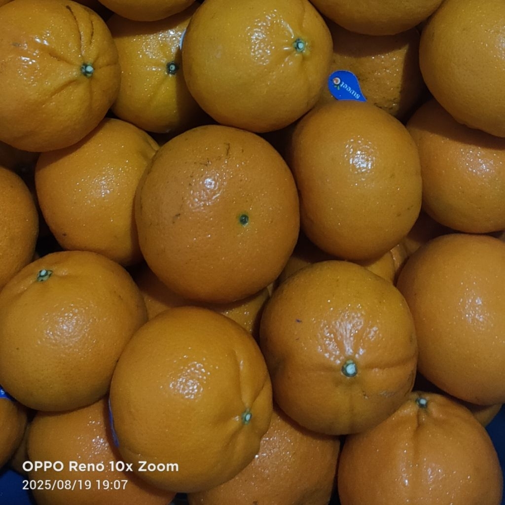 

Jeruk Fresh Sweet C South Africa Per Kg