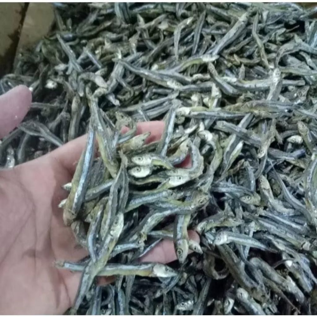 

( SERBA 5.000 ) IKAN ASIN TERI TAWAR