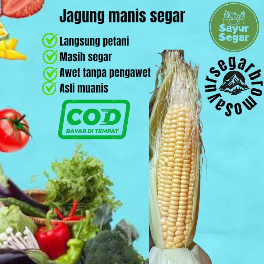 

jagung manis baru setiap hari 1kg
