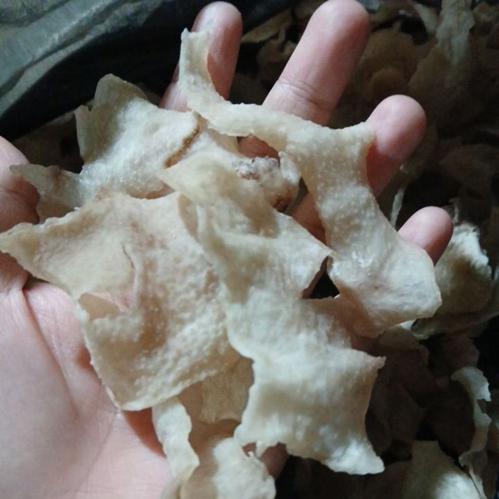 

Dijamin Renyah // kripik gadung mentah 500gr