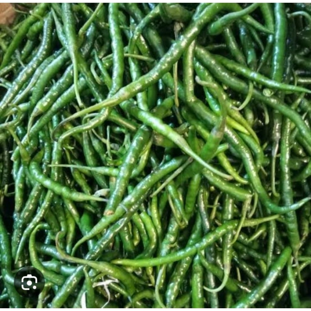 

250g cabai hijau keriting