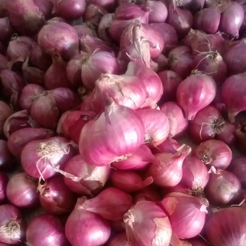 

Bawang Merah 500gr Brambang Besar