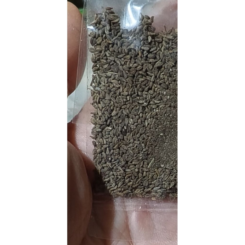 

Biji Mungsi / Muju / Musi