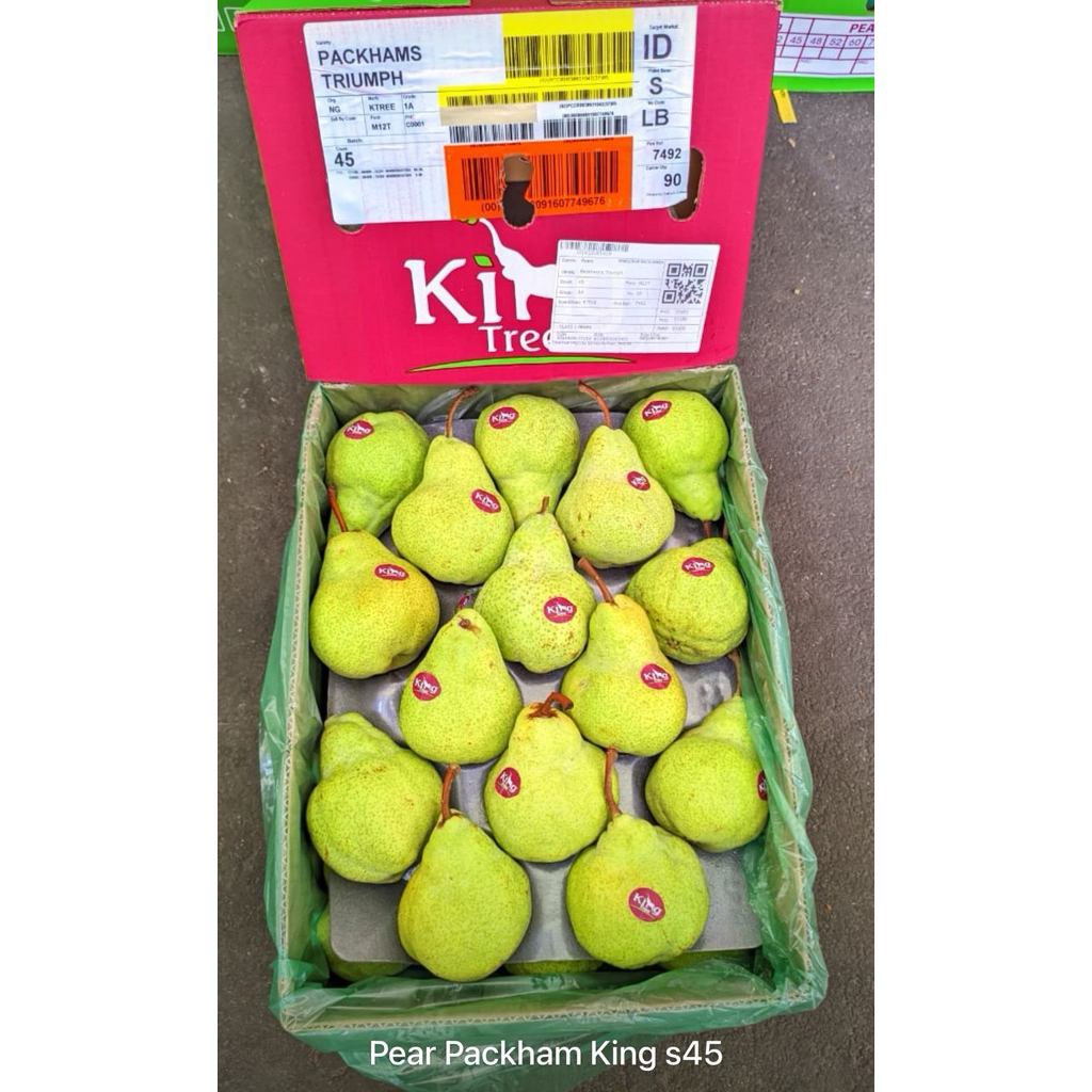 

PACKHAM KINGTREE S^45