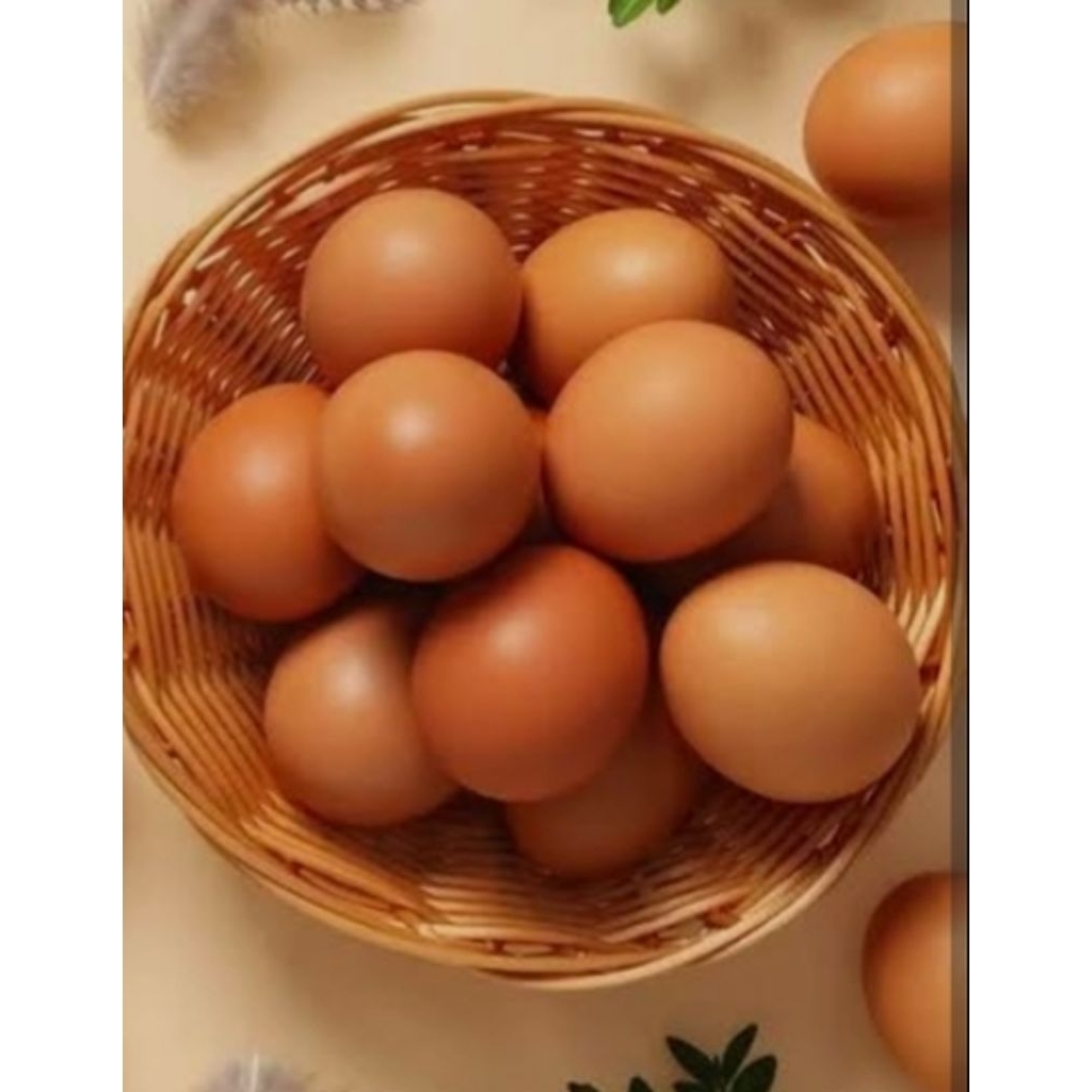 

Telur omega horn/telur sehat/good egg isi 10 butir