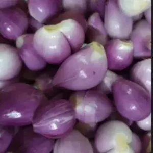 

Bawang Merah Kupas. 250 Gram