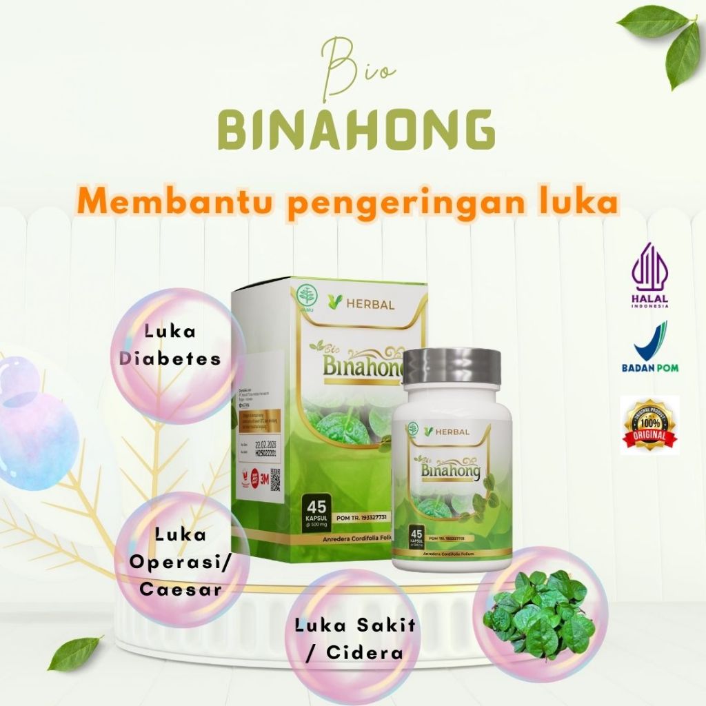 Binahong - Ekstrak Daun Binahong Kapsul Penyembuh Luka Pengering Luka Operasi Cepat Kering