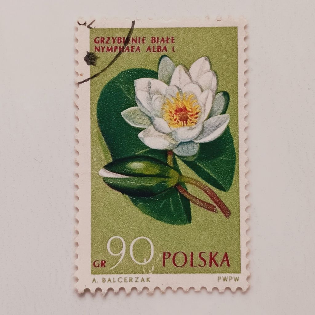 

(AD) Perangko Hongaria 1962 Protected Flowers - European White Waterlily (Nymphaea alba) 90 gros CTO