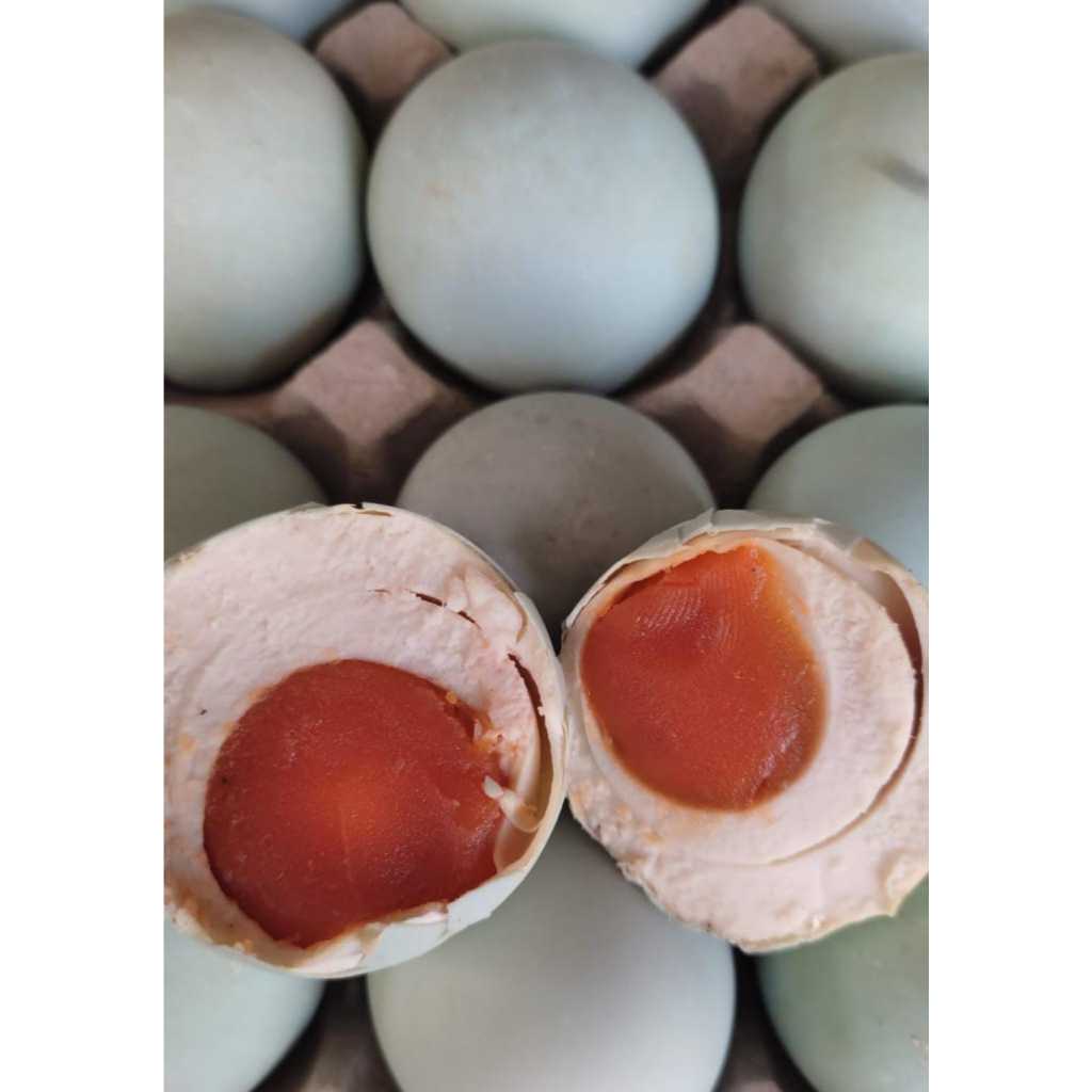 

TELUR ASIN MASIR MURAH