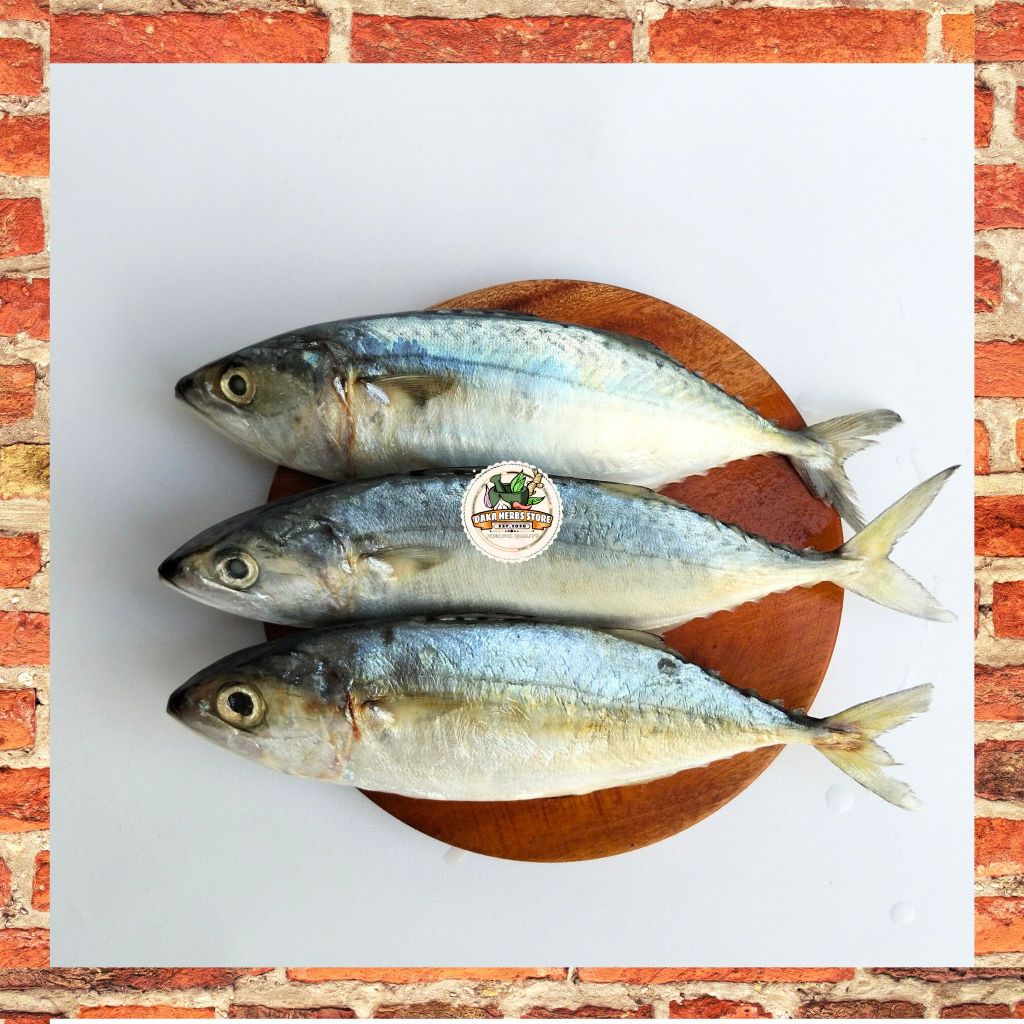 

IKAN KEMBUNG SEGAR 500 GRAM