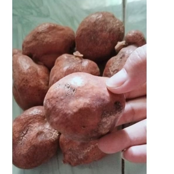 

Buah Zuriat Mesir/Zuriat Doum Promil/Bijian