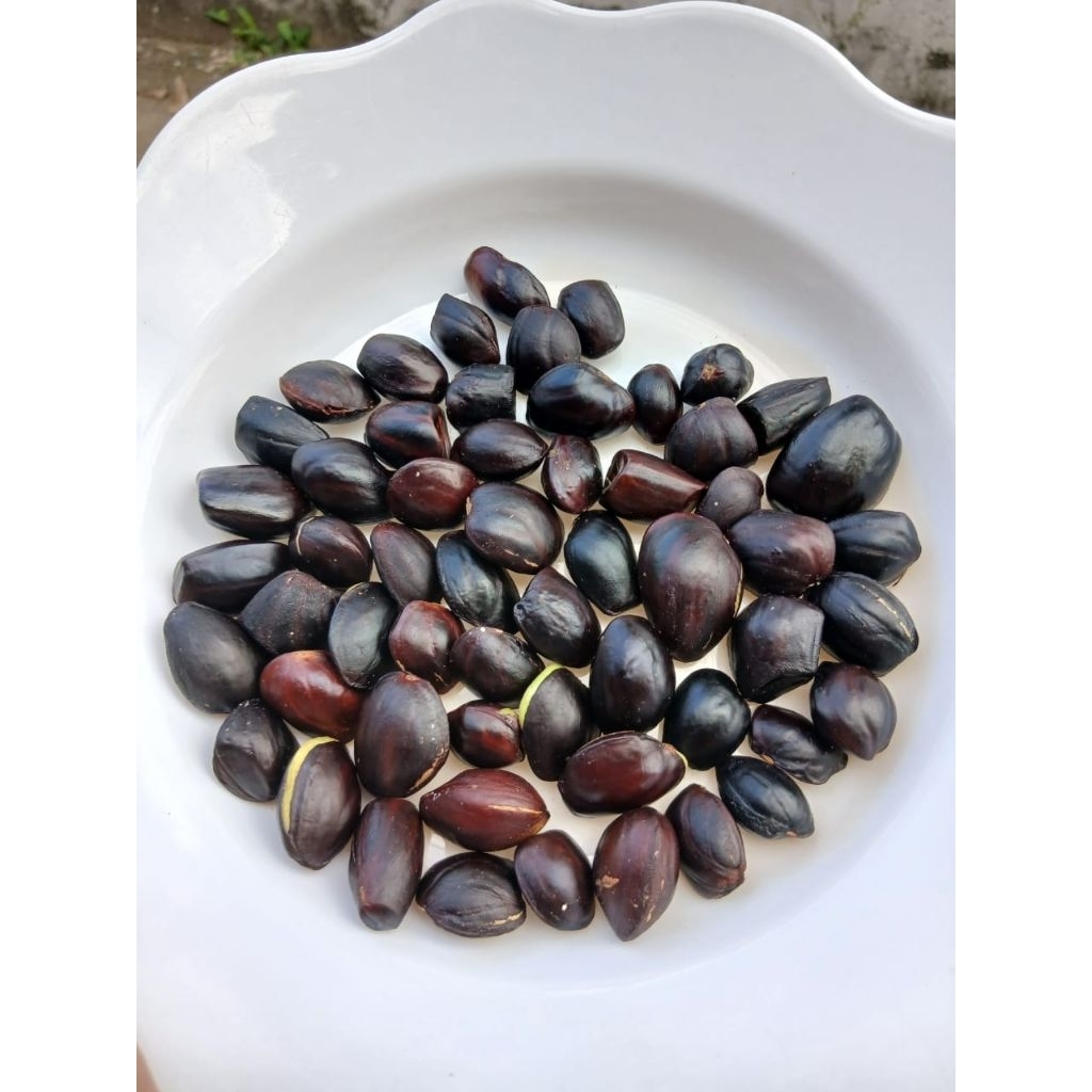 

1kg kabau KIKIM/jolang jaling kulitas super