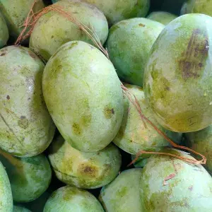 

mangga manalagi 1buah