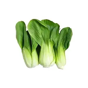 

Pakcoy 250Gr / Pak Choy