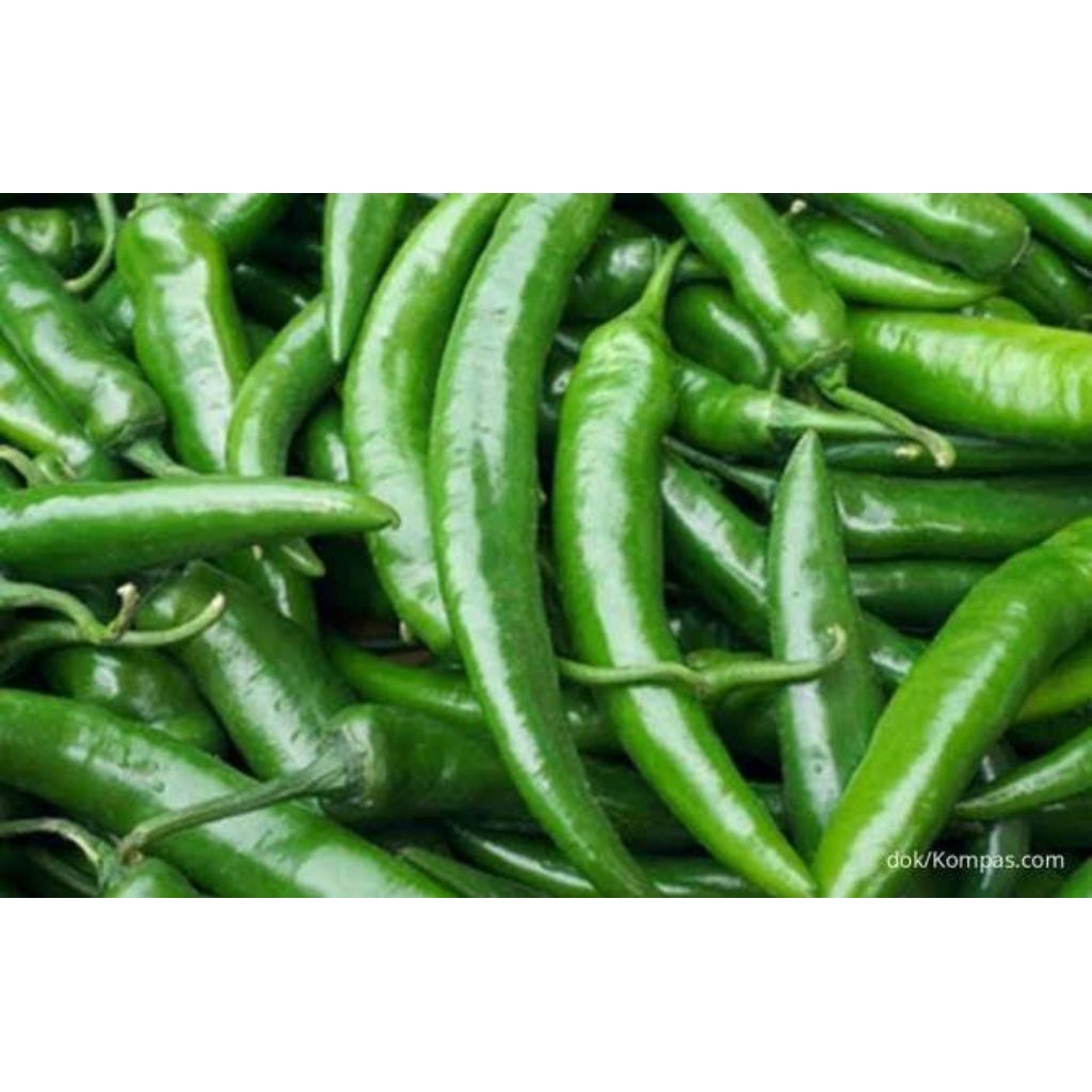 

Cabe Ijo Besar Cabai Hijau Besar 250 g