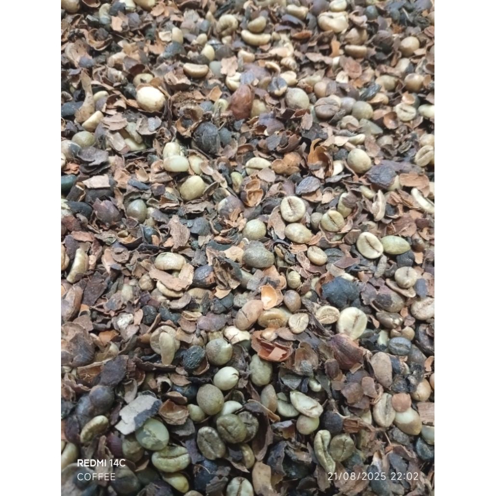 

PIXEL KOPI ROBUSTA 40K