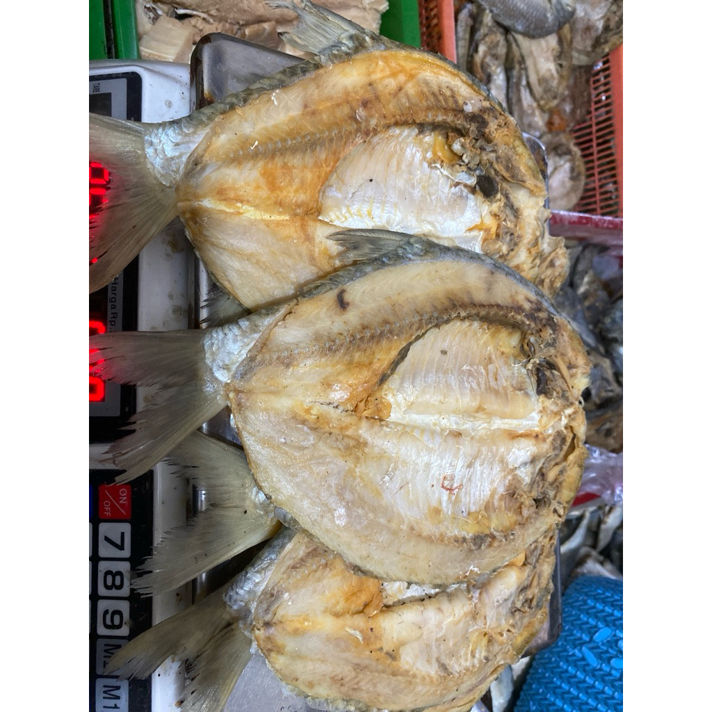 

IKAN ASIN TAWES JUMBO