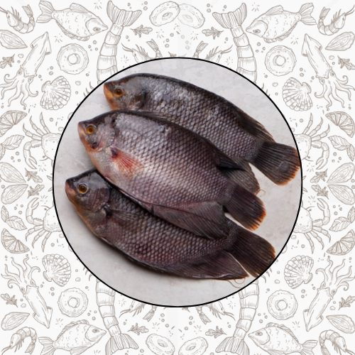

IKAN GURAME FRESH FROZEN QUALITY PREMIUM