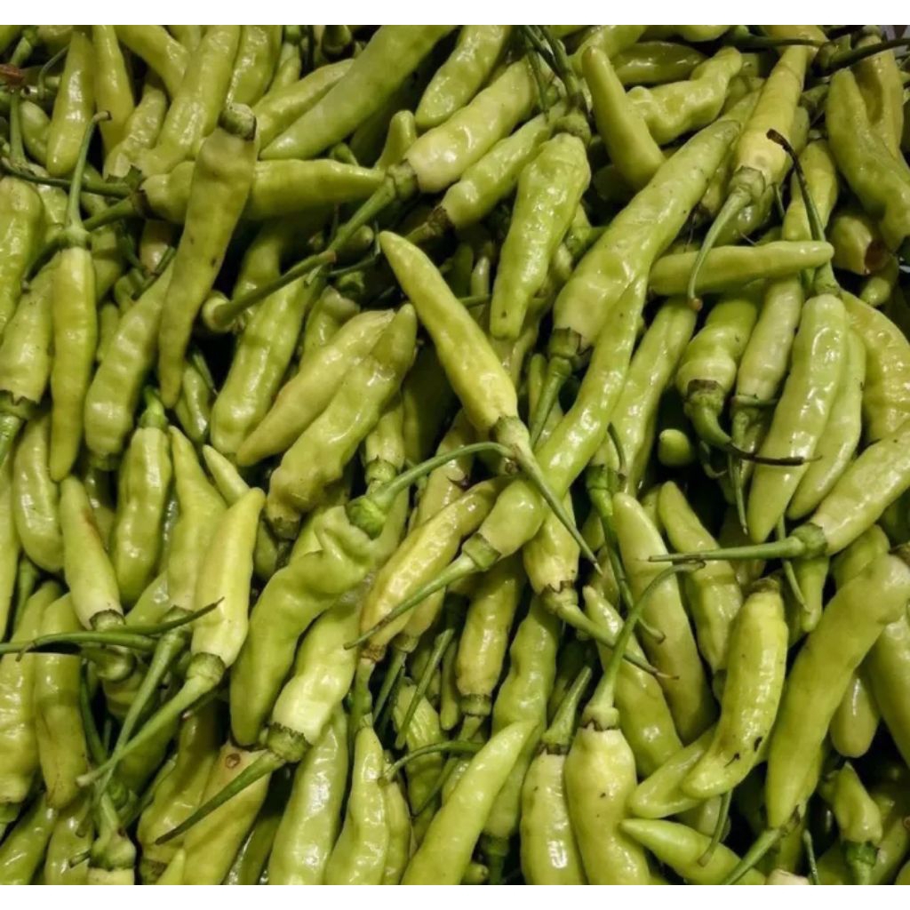 

Cabai Rawit Putih [1] KG Fresh
