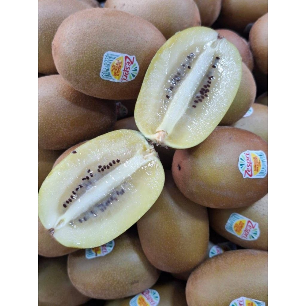

kiwi gold fresh size jumbo//kiwi Zespri import//kiwi manis//full manis