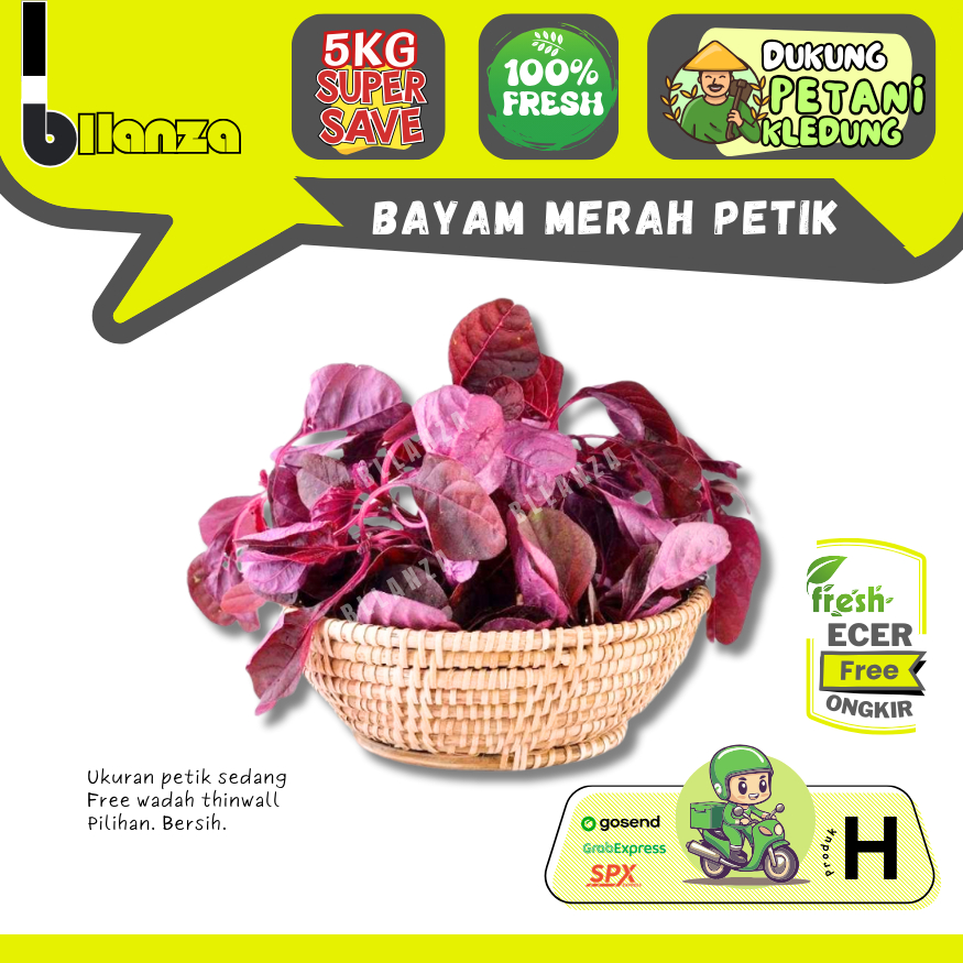 

Bllanzanow | Bayam Merah Petik — Sayur Gunung ECER (H)