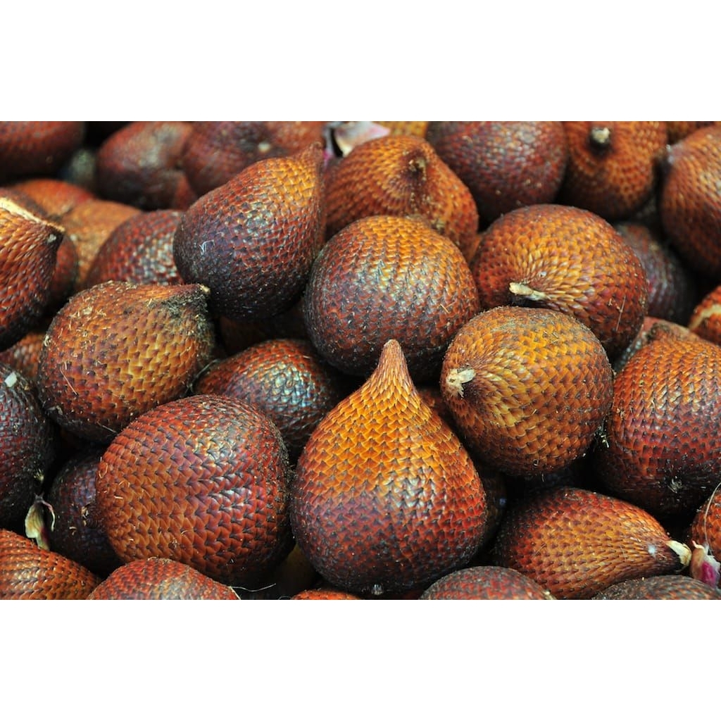 

buah salak pondoh segar 1kg kualitas grade a