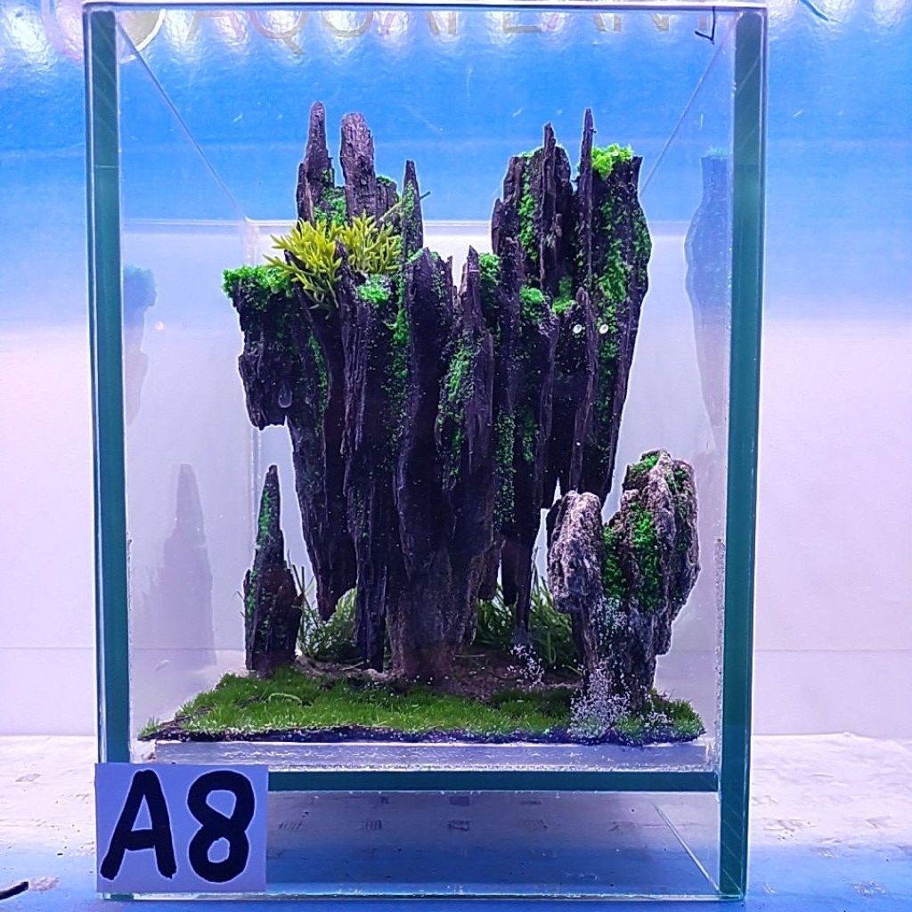 AQUASCAPE SINTETIS AVATAR A8 + PACKING KAYU