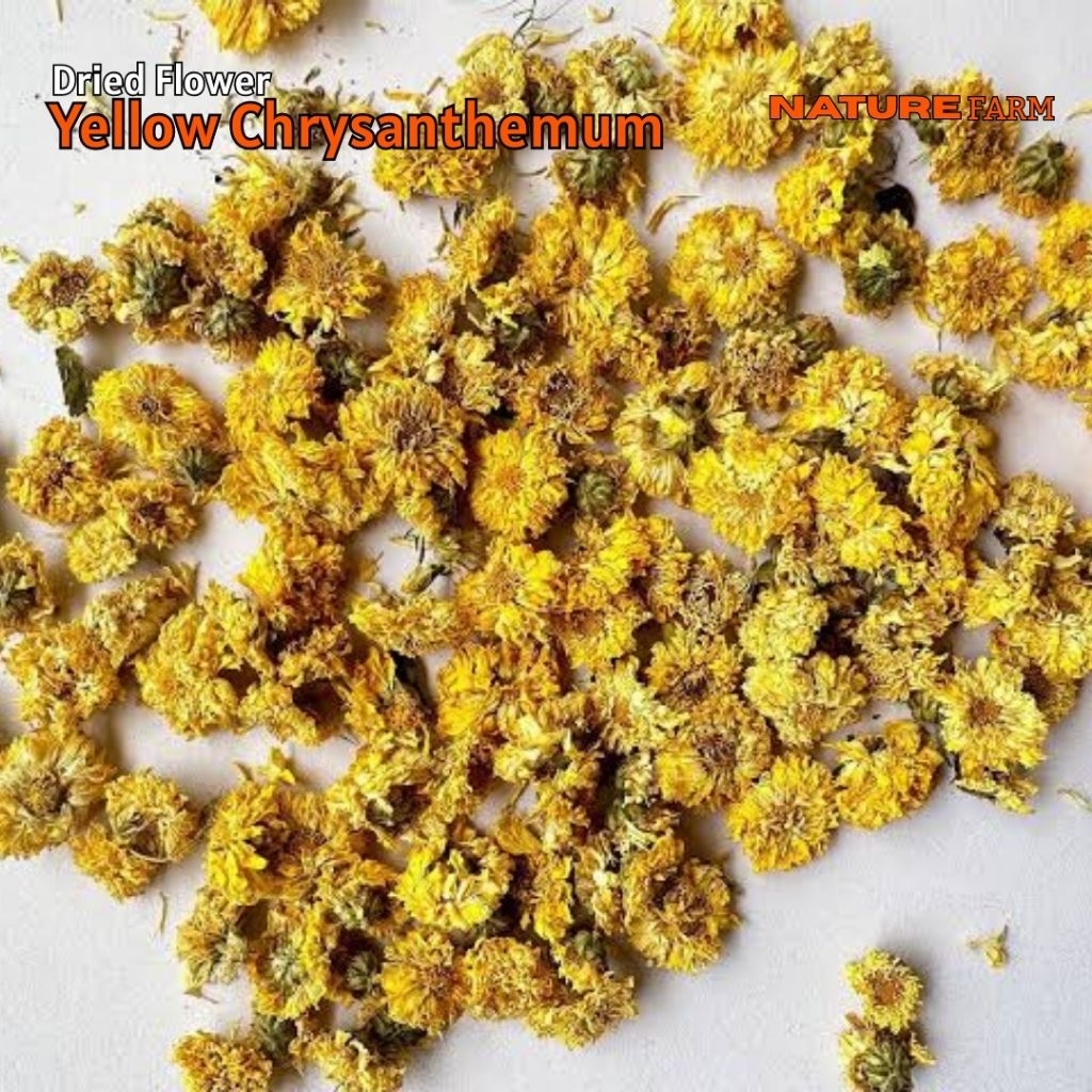 

Nature Farm Premium Yellow Chrysantemum Tea / Teh Bunga Krisan Kuning Kering