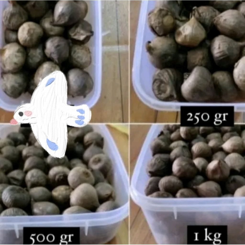 

Black Garlic Bawang putih tunggal Hitam / Bawang Lanang Hitam 250gram