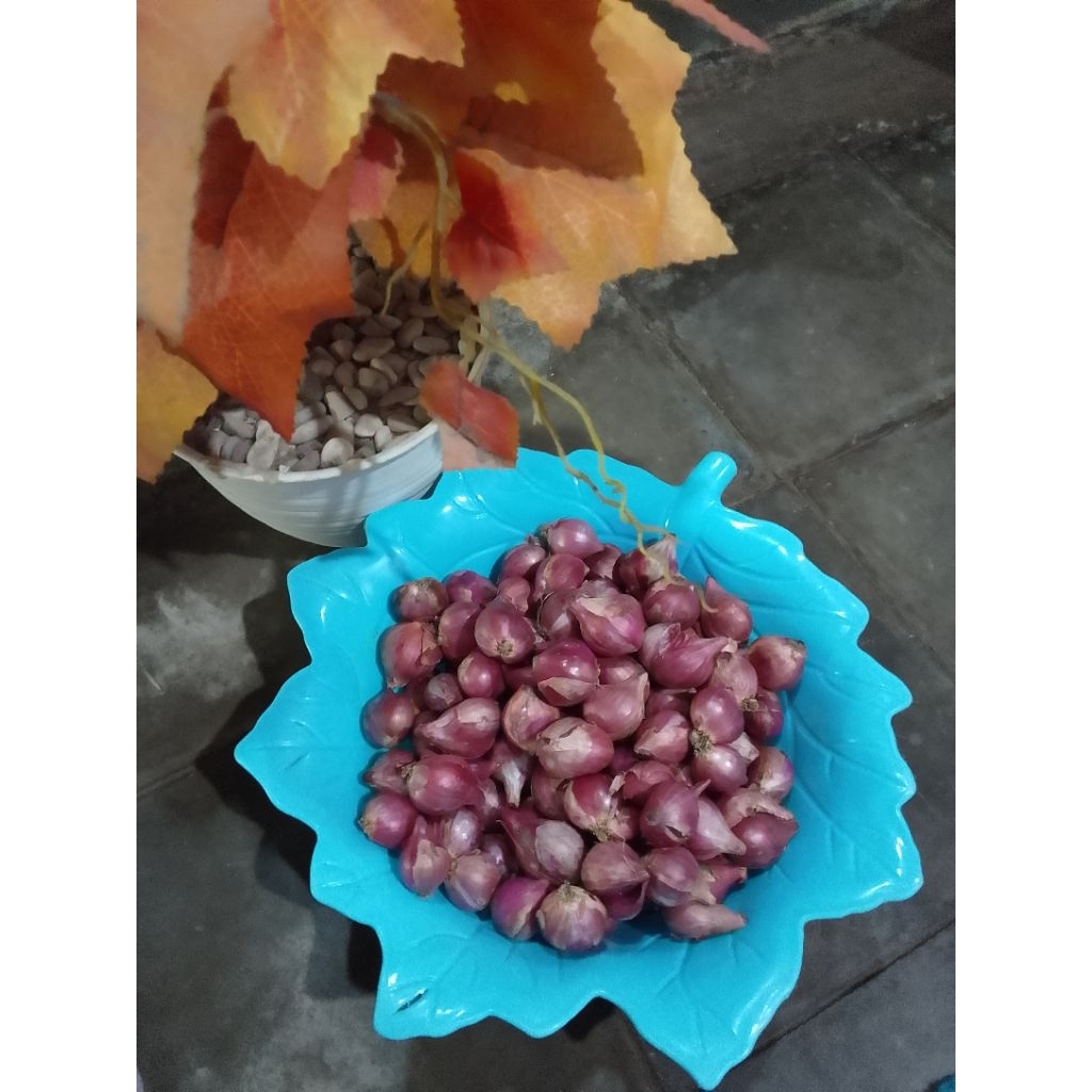 

Bawang Merah Ukuran Besar Bawang Merah Bumbu Masak