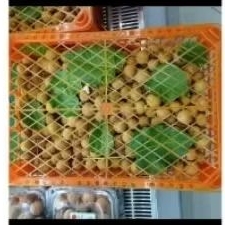 

longan box fresh buah kelengkeng manis fresh keranjang box 5kg