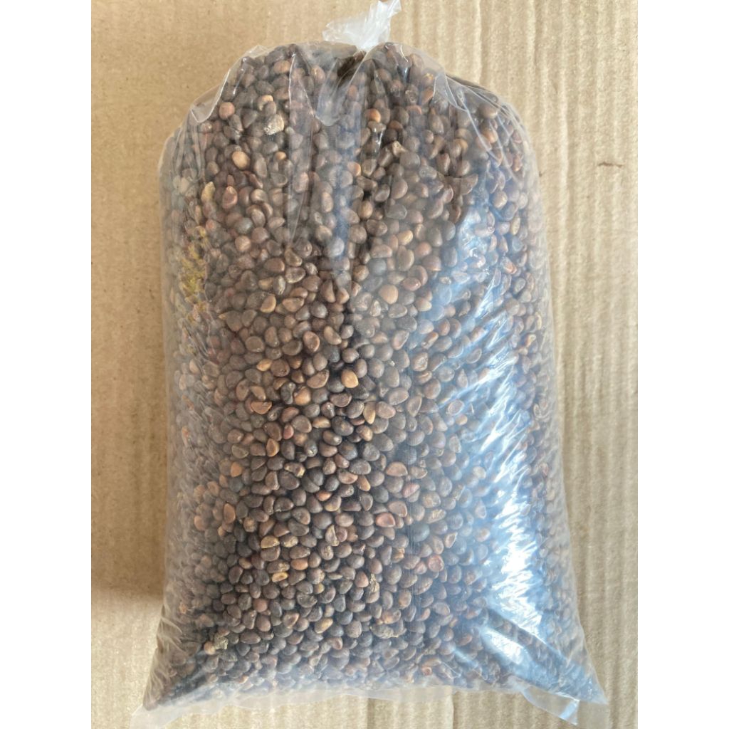 BENIH KANGKUNG LOKAL CURAH ISI 1KG