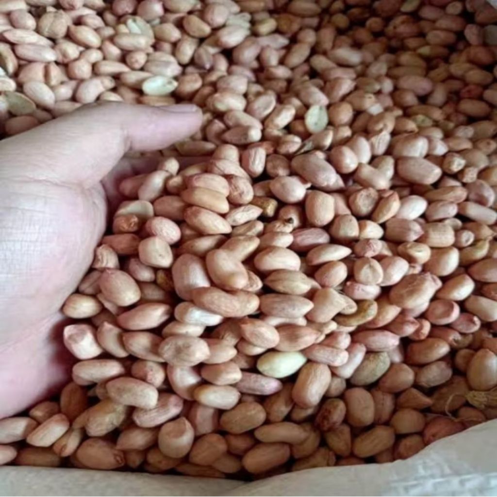 

Kacang tanah 1KG