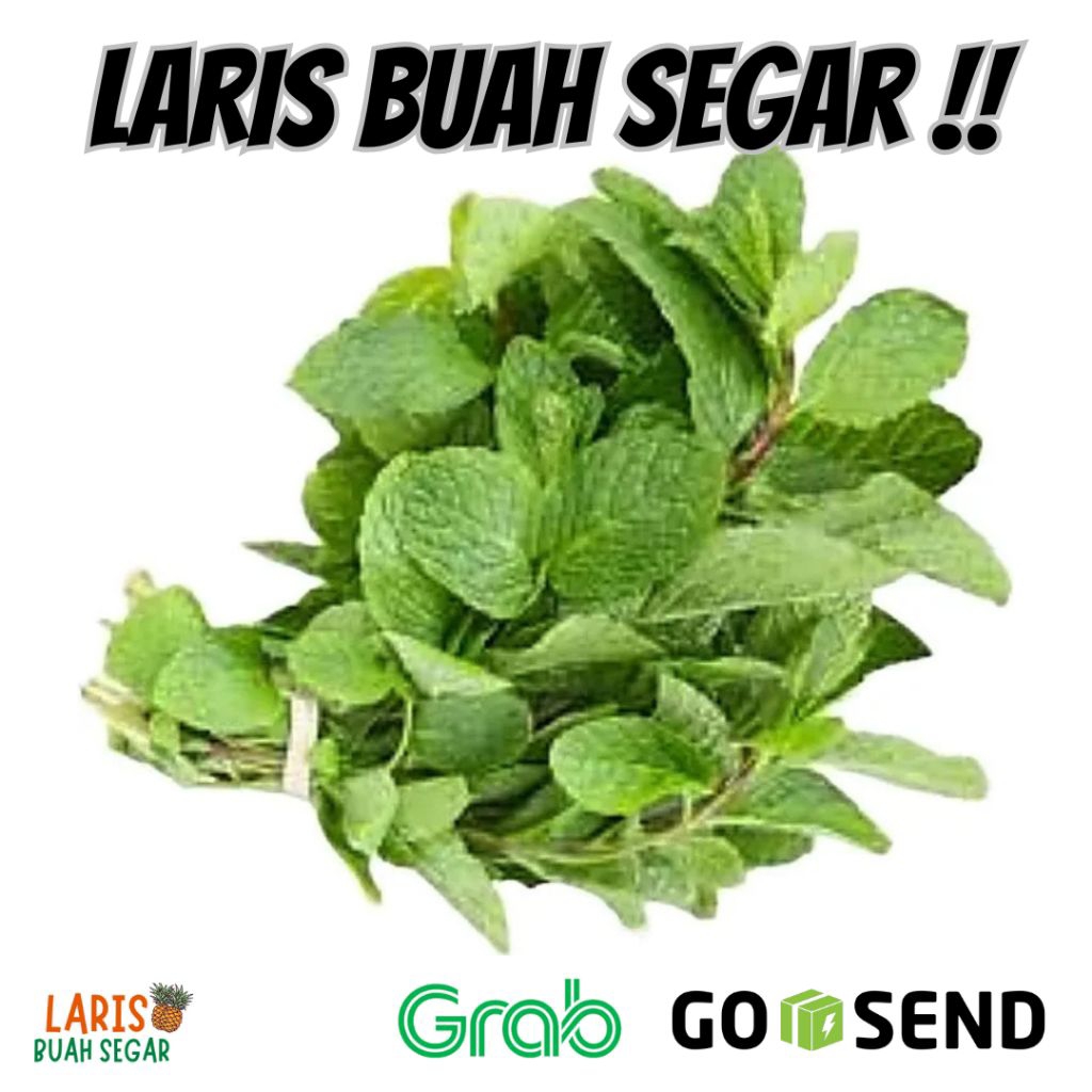 

DAUN MINT SEGAR / DAUN MINT FRESH 100GR