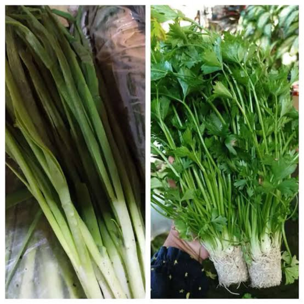

daun bawang seledri / keranjang sayur bekasi