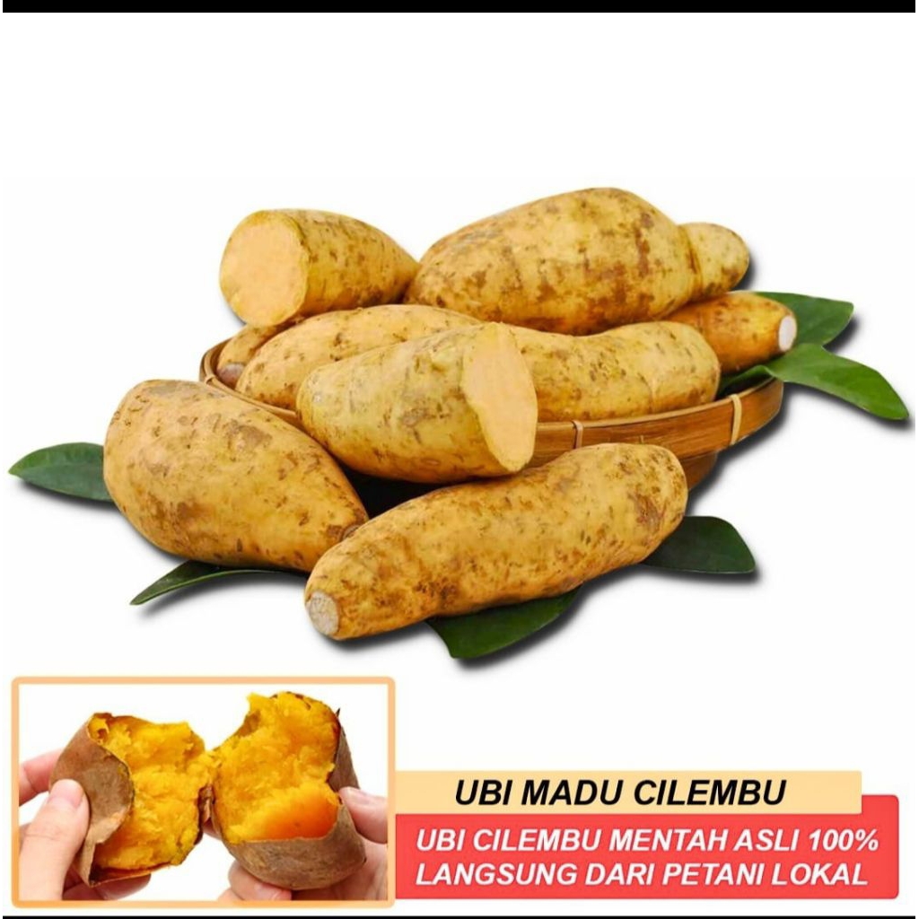 

Ubi Madu Cilembu Premium 1Kg | Manis Legit | Segar Mentah Siap Bakar | Garansi Fresh